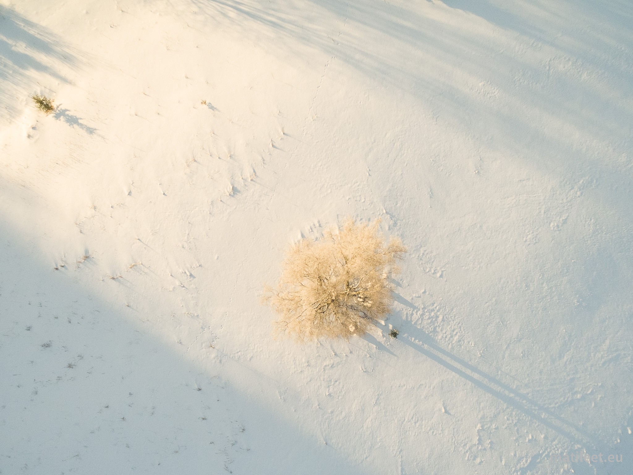 160322DJI_0037