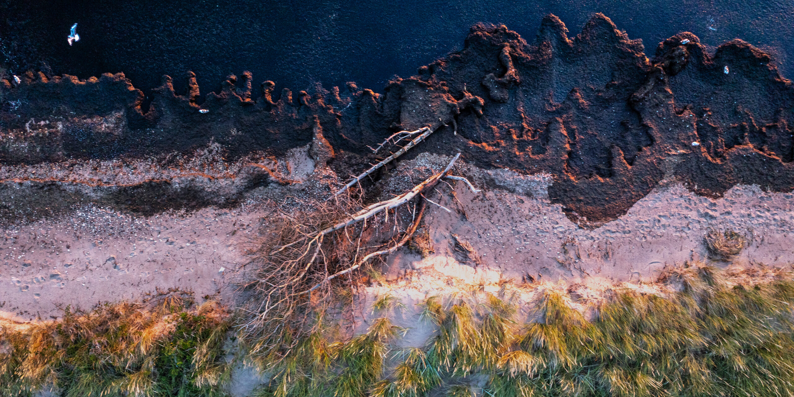 IMG_DJI_0467-HDR Harilaid 2026 läbi droonikaamera IMG DJI 0467 HDR scaled